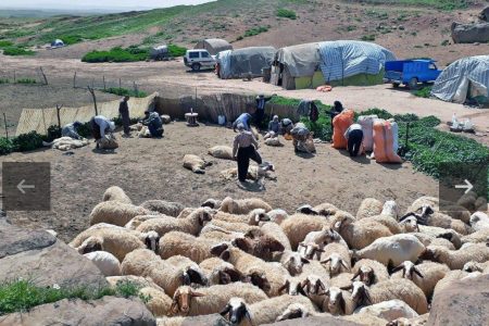 استاندار کرمانشاه، پیگیر مطالبات عشایر استان