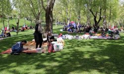 در روز طبیعت، زباله کمتری تولید کنید