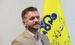 جذب ۲۸ هزار و ۳۱۶ مشترک جدید گاز در استان کرمانشاه