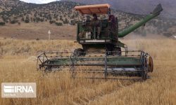 مکانیزاسیون یکی از راههای گذر از کشاورزی سنتی و خود معیشتی به کشاورزی صنعتی و پایدار