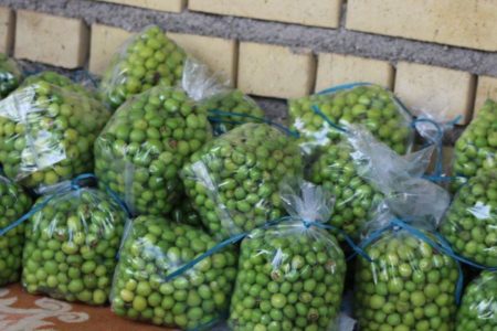 جشنواره گوجه سبز در سرپل ذهاب