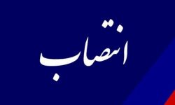 حمیدرضا عزتی، مدیرکل جدید ورزش و جوانان استان کرمانشاه منصوب شد