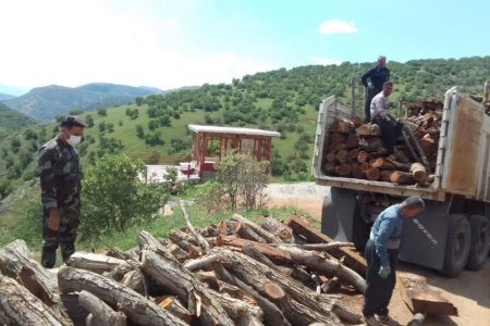 جلوگیری از تخریب و بهره‌برداری غیرمجاز از منابع جنگلی در شاهو