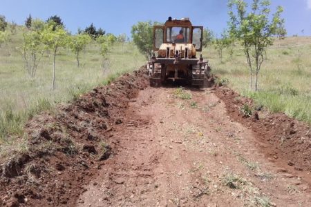 آغاز عملیات ایجاد آتش‌بَر در پارک جنگلی بیدسرخ