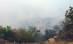 آتشسوزی گیلانغرب، بر اثر عامل انسانی بوده است