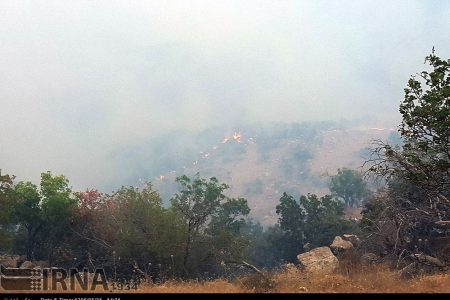 آتش‌سوزی گیلانغرب، بر اثر عامل انسانی بوده است