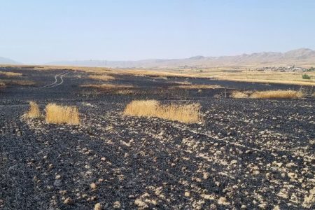 ۶۰ هکتار از مزارع گندم و جوی گیلانغرب، در آتش سوخت