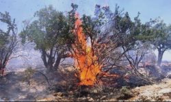 برخورد قضایی با عامل آتش‌سوزی صحنه