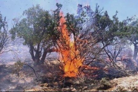 برخورد قضایی با عامل آتش‌سوزی صحنه