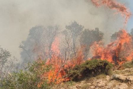 درخواست استاندار بر هم‌‌افزایی بین دستگاه‌ها برای مقابله با آتش‌سوزی‌های استان