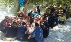 برگزاری باشکوه مراسم عید قربان در شهر بانهوره