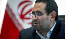 هرگونه نگهداری و گرداندن سگ در معابر عمومی، خودروها، پارکها و سایر فضاهای عمومی شهری ممنوع است