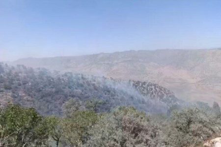 وقوع آتش‌سوزی در کوه‌های سریوان گیلانغرب