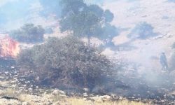آتشسوزی گیلانغرب، مهار شد