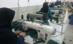 اشتغال‌زایی ۵۲۰ طرح با اعتباری بالغ بر ۶۳ میلیارد تومان در بهزیستی کرمانشاه