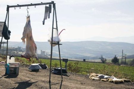 ذبح دام در حاشیه خیابان‌ها، سلامت شهروندان را به مخاطره می‌اندازد