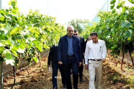 نگاه ویژه‌ به توسعه واحدهای گلخانه ای