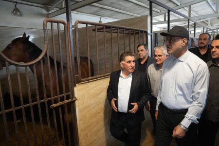 لزوم حمایت‌های علمی و اجرایی از صنعت پرورش اسب