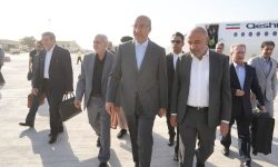 وزیر تعاون، کار و رفاه اجتماعی وارد کرمانشاه شد