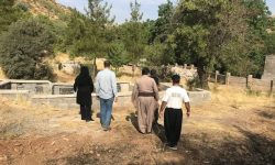 گورستان تاریخی و درختان هزارساله شمشیر ثبت ملی می‌شوند