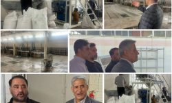 بازدید رئیس اتاق بازرگانی کرمانشاه از کارخانه قند تنها
