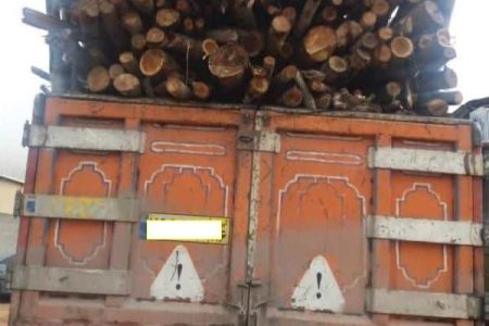 کشف ۱۰ تن چوب قاچاق در اسلام آباد غرب