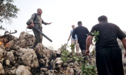 آتش‌سوزی در منطقه شرکان پاوه مهار شد