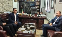 پارک تاریخی هرسین ساماندهی میشود