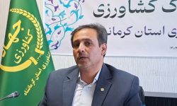 خاک مهمتر از آب و اساس امنیت غذایی است