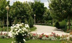 بررسی ظرفیت های توسعه شهر گیلانغرب