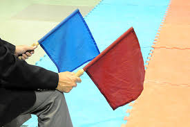 داوران کرمانشاهی موفق به اخذ درجه آسیایی کاراته شدند