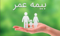 درباره یکی از قدیمی‌ترین رشته‌های بیمه‌ای جهان چه می‌دانیم؟