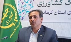 تا ۳ سال آینده تولیدات کشاورزی استان کرمانشاه به ۶.۱ میلیون تن می‌رسد
