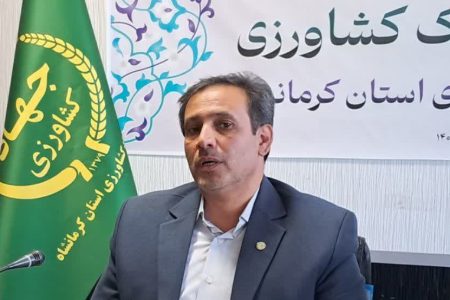 تولید بیش از ۴۱ هزار تن بذر اصلاح‌شده گندم در کرمانشاه