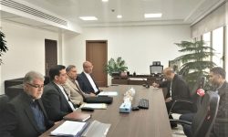 آغاز عملیات ۱۱ ساختگاه ۳ مگاواتی در حوزه شرکت توزیع برق استان کرمانشاه