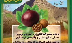 برگزاری جشنواره پیاز و گردو در شهرستان هرسین 