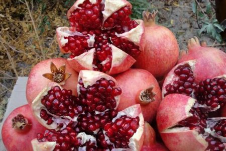پیش‌بینی تولید ۱۳ هزار تن انار در کرمانشاه