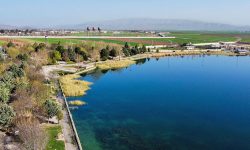 کاهش ۹۰ درصدی حضور گردشگران با خشکی سراب نیلوفر
