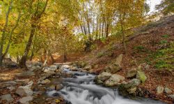 جشنواره عکاسی ردپای پائیز در صحنه برگزار میشود
