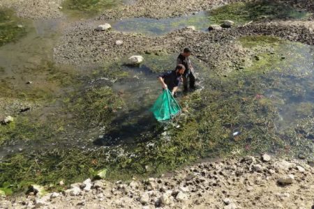 نجات اضطراری گنجینه زیستی سراب بیستون در پی خشکسالی