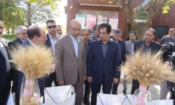 توسعه گلخانه‌ها و تحقیقات کاربردی اولویت‌های بخش کشاورزی استان است