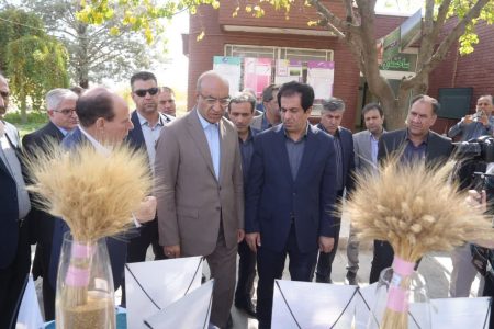 توسعه گلخانه‌ها و تحقیقات کاربردی اولویت‌های بخش کشاورزی استان است