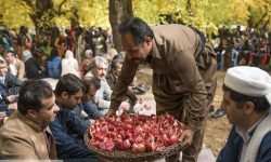 جشن انار» ۲۹ آبان در روستای ساتیاری پاوه برگزار می‌شود