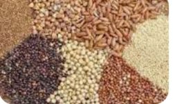 تامین و توزیع ۳۸ هزار تن انواع نهاده دامی در استان کرمانشاه
