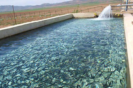 تکمیل و بهره برداری از پنج پروژه شیلاتی در کرمانشاه