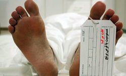 فوت ۳۳ کرمانشاهی با قرص برنج