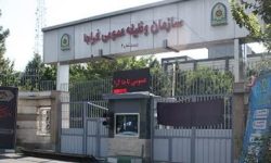 صدور اینترنتی مجوز خروج از کشور برای متعهدین آموزش و پرورش و قوه قضائیه